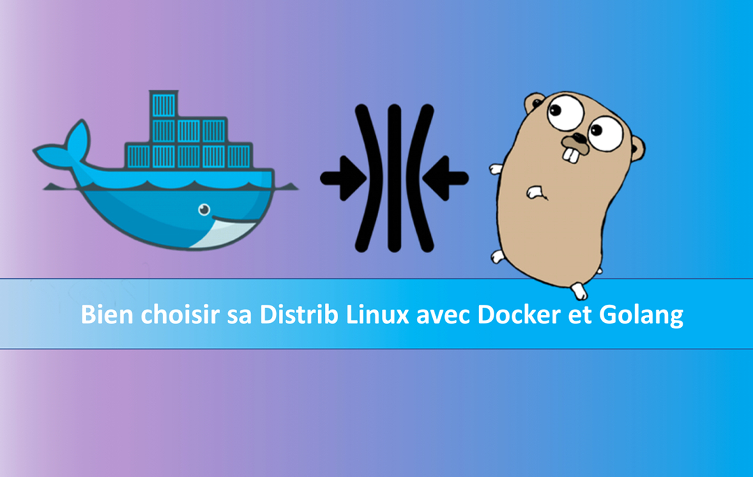 Docker scratch. Golang картинка прикольная. Revel golang. Docker and golang Art. 2023 Golang.